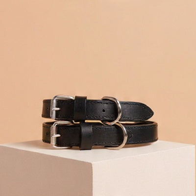 Echtleder Hunde-Halsband, gefüttert | Schwarz - [Personalisierbar]