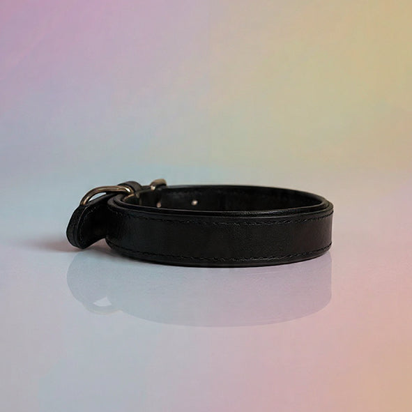 Echtleder Hunde-Halsband, gefüttert | Schwarz - [Personalisierbar]
