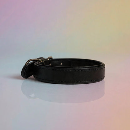 Echtleder Hunde-Halsband, gefüttert | Schwarz - [Personalisierbar]