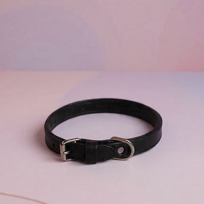 Echtleder Hunde-Halsband, gefüttert | Schwarz - [Personalisierbar]